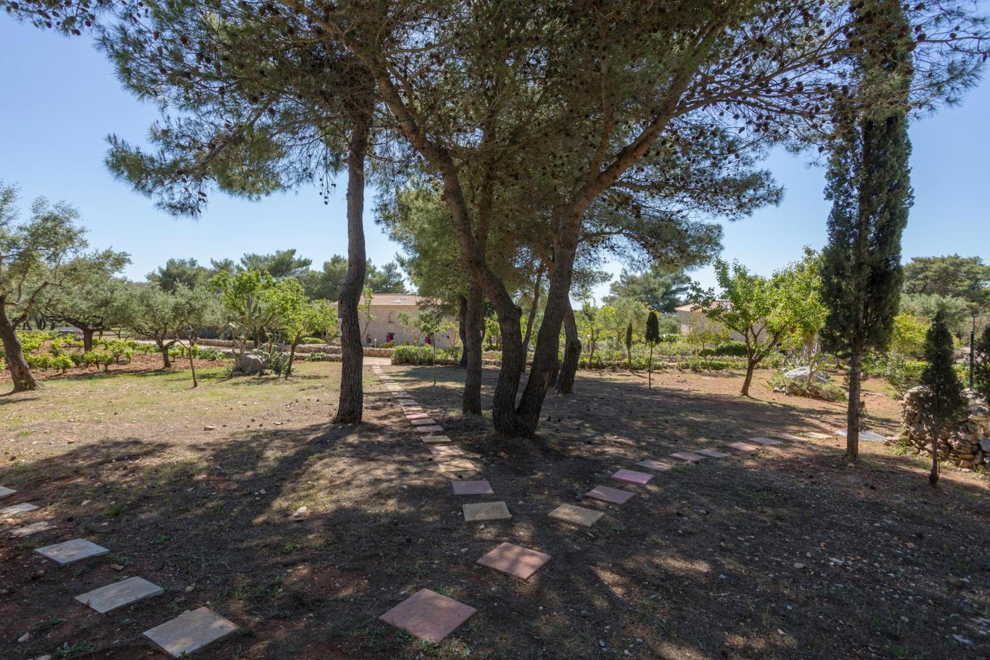 Aresti Mountain Resort Agios Leon エクステリア 写真