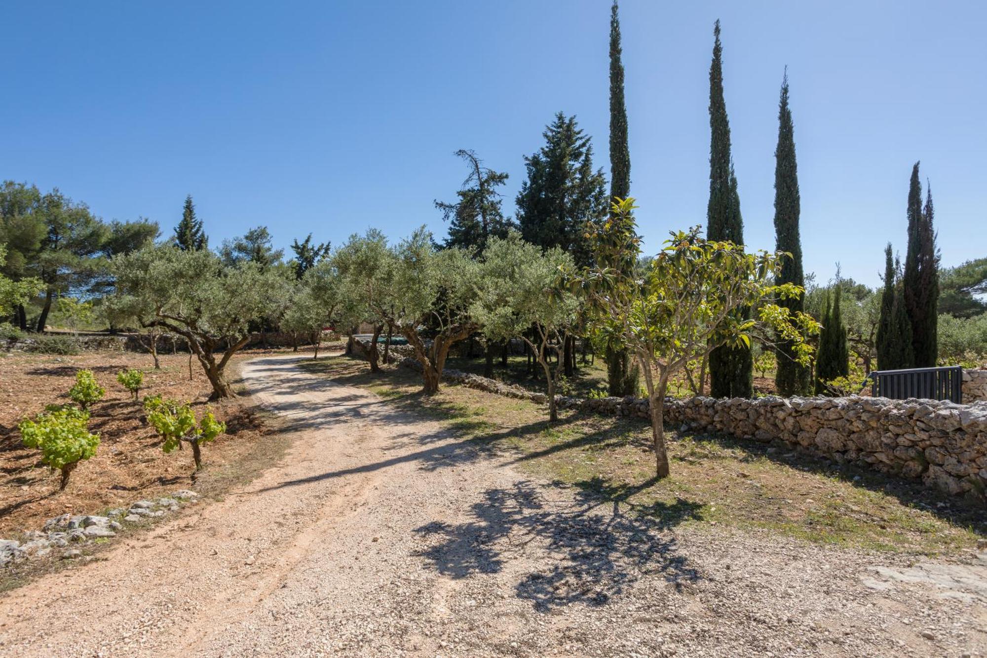 Aresti Mountain Resort Agios Leon エクステリア 写真